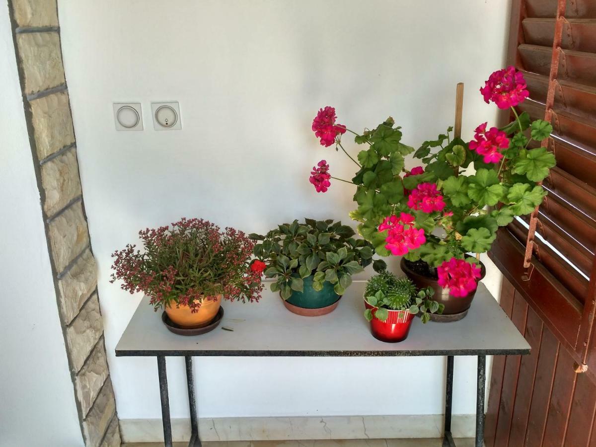 Apartmani Tonica Sukošan 外观 照片